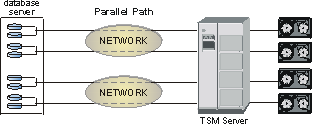 multiple network paths