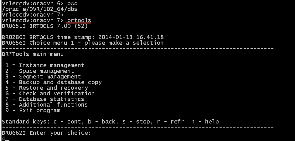sap brtools brtools utility
